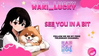 Current preview image for model waki_lucky